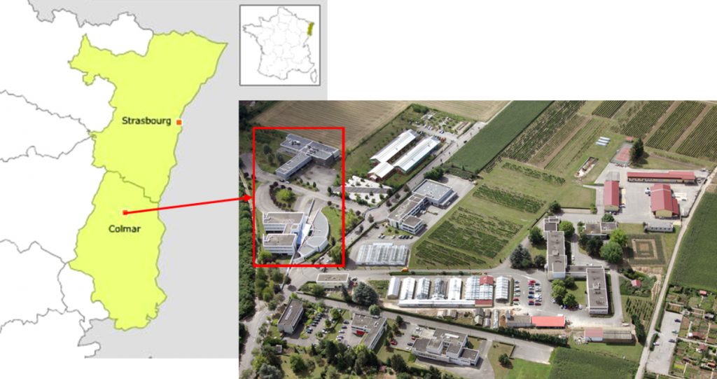 Localisation du Laboratoire Vigne, Biotechnologies et Environnement en France et à l’intérieur du Biopôle