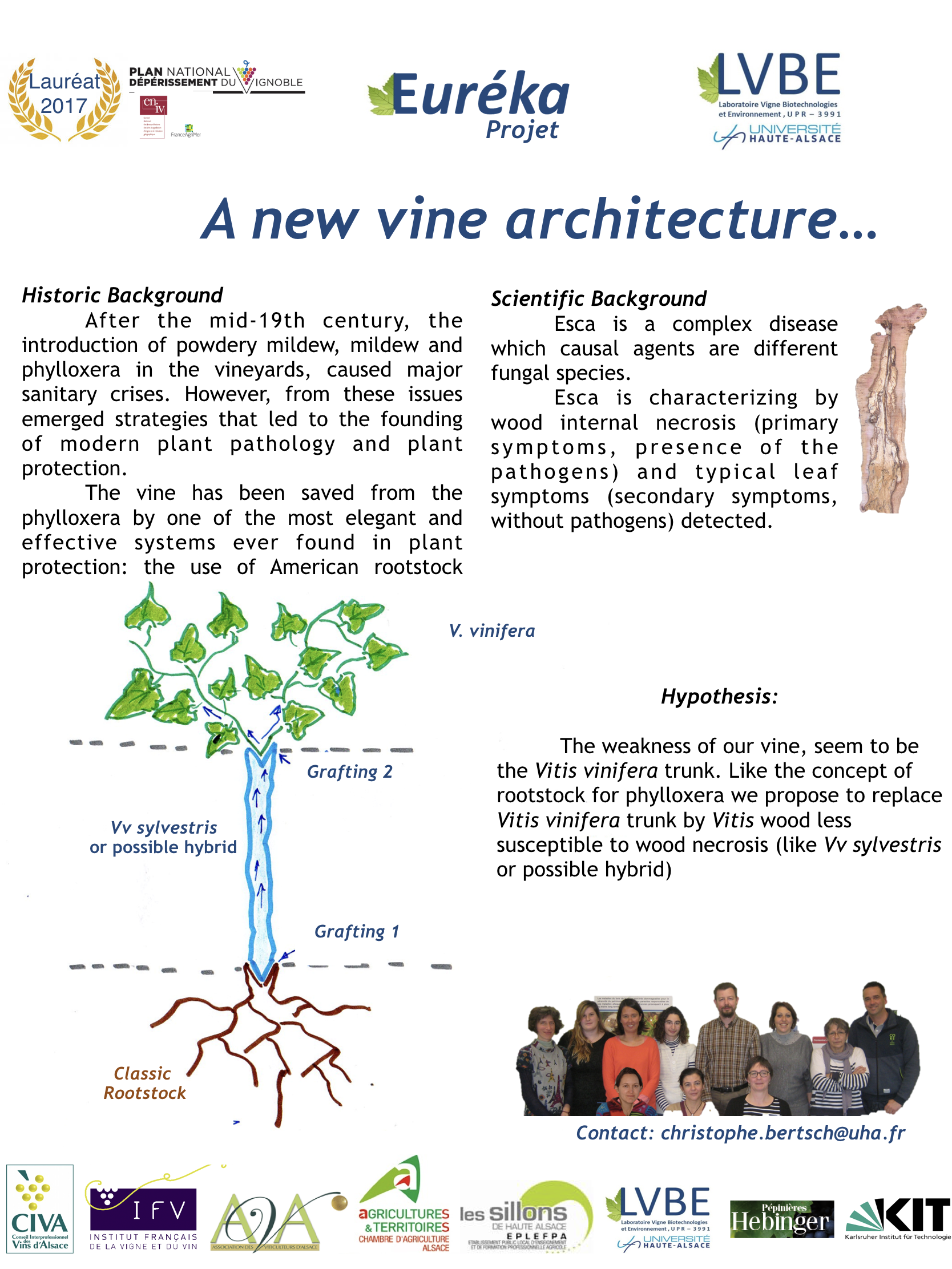 Poster Euréka : «A new vine architecture “