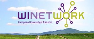 Logo WINETWORK