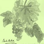 Feuille de vigne er grappe dessin Vert