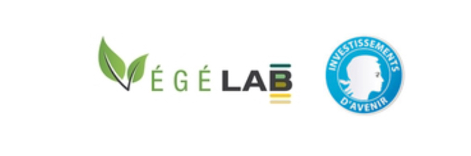 Logo Végé-LAB