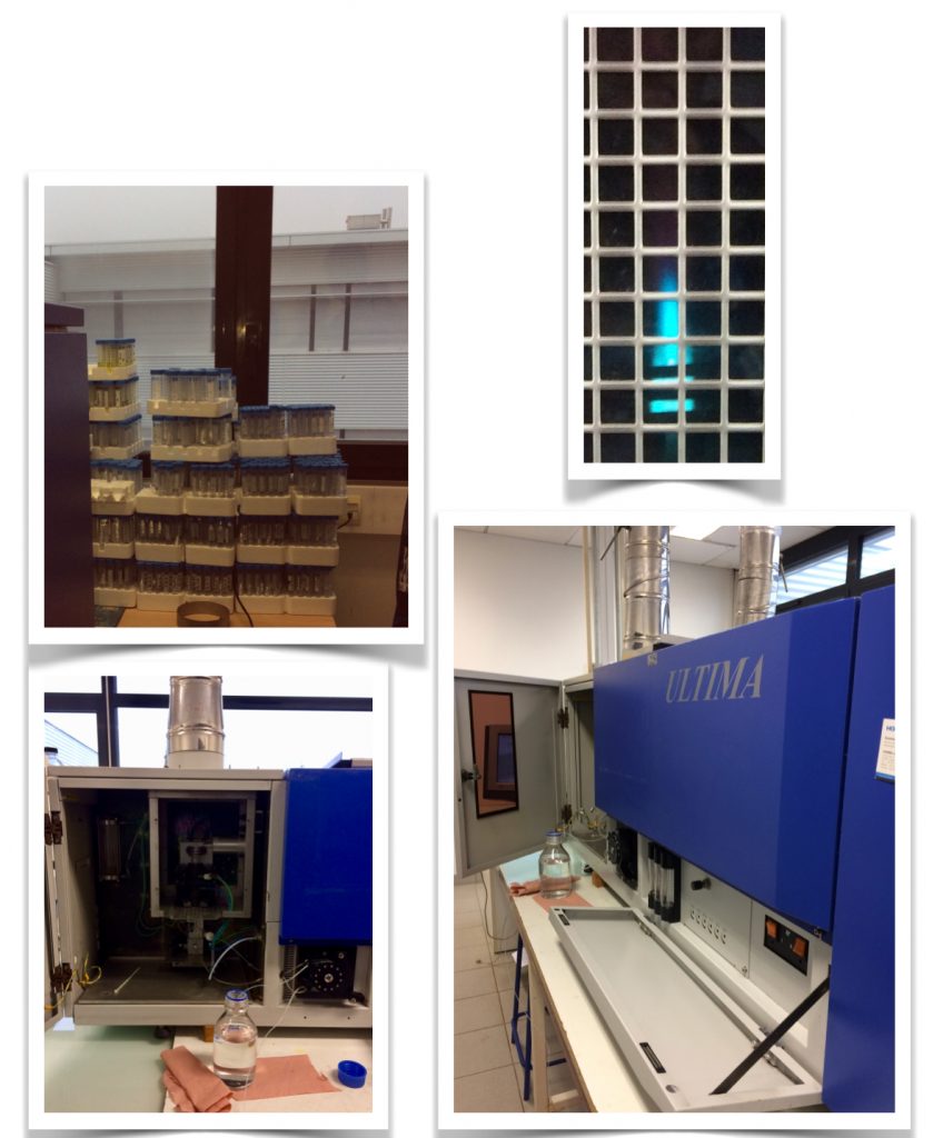 LVBE analysis Platform