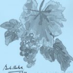  Blue drawing of grapevine leaf