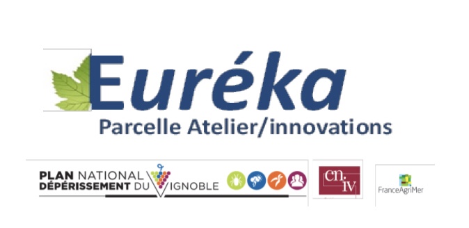 Eureka 1 logo