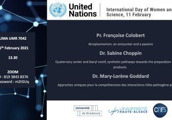 Online mini-symposium for International Day of Women and Girls in Science
