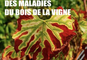 Reims 2021: French national days of Grapevine Trunk Diseases
