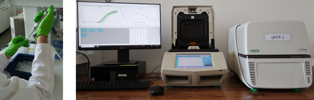 biologie moleculaire PIV LVBE