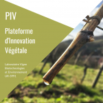 Plaquette PIV LVBE