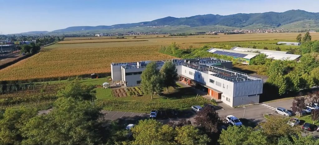 Unité mixte de recherche Universitaire sur la Vigne et l’œnologie