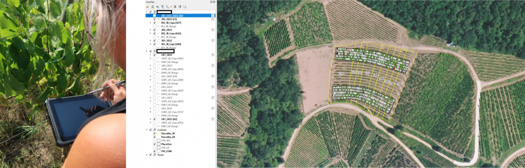 Cartographie Plateforme d'innovation vegetale