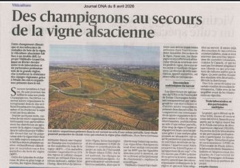 Projet VitiBiodiv-Grand Est aux Dernières Nouvelles d&rsquo;Alsace